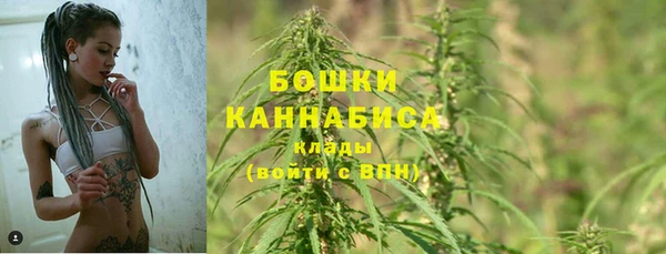 твердый Аркадак