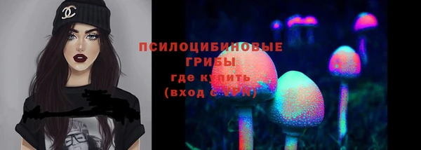 прущие крисы Армянск