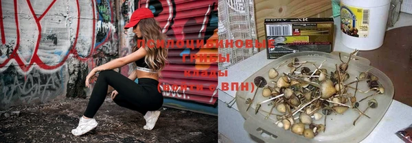 Альфа ПВП Баксан