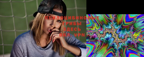 прущие крисы Армянск