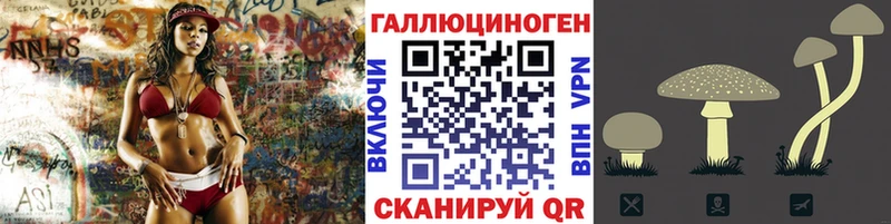 Псилоцибиновые грибы мицелий купить Венёв